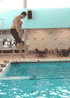 la piscine