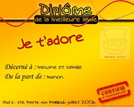 diplome